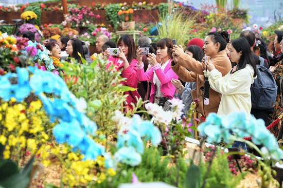 【聚焦重庆】花博会余温未减 市民赏花展笑颜