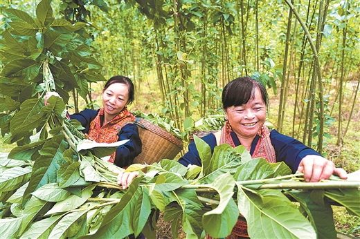 发展大健康产业 打造广西“健康经济”