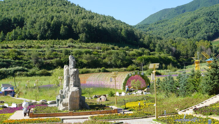 【原创】我们的家园 幸福美好新甘肃 | 甘肃甘南临潭县庙花山村：昔日“丑小鸭” 变身“白天鹅”_fororder_cd02d41d63ba62d21fb22f7559f9042