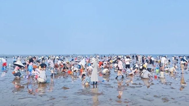 看海、赶海、吃海鲜，连江“滨海经济”热力十足