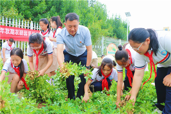 南阳市卧龙区：别开生面的“开学第一课”_fororder_师生在农耕园里收获花生 摄影 张珊