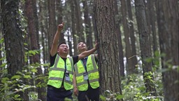 重庆彭水：筑牢护林防火屏障