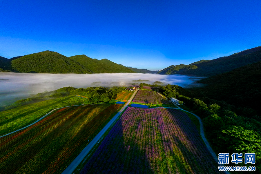 重庆巫溪红池坝：群山环抱 风景宜人