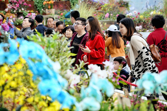 【聚焦重庆】148万市民与花共“舞” 第二届城市花博会圆满落幕