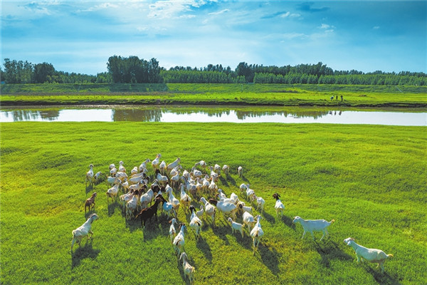 河南降水后恢复重建标志性水利工程——贾鲁河综合治理工程通过完工验收_fororder_p53_s