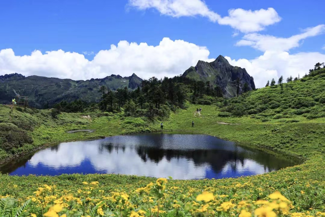 宫崎骏动漫里的梦幻夏天，就在云南的秘境里