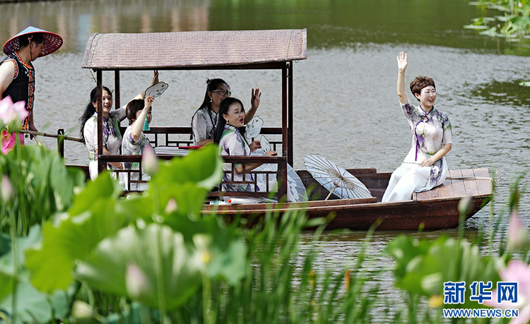 重庆石柱：赏荷花之美 品乡村风情