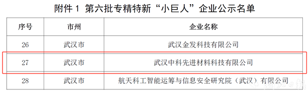 武汉先进院入选第六批国家级专精特新“小巨人”名单_fororder_微信图片_20240910094644