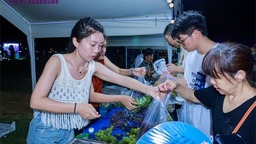 “葡式”盛宴拉满氛围感 南京江北新区盘城“甜蜜夜市”引爆夏日风情