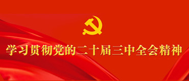 学习贯彻党的二十届三中全会精神_fororder_未标题-1(1)