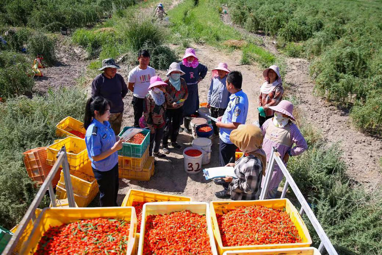 夏季行动｜酒泉瓜州公安 : 深化“警调对接”机制，夯实主动创稳根基_fororder_图片3