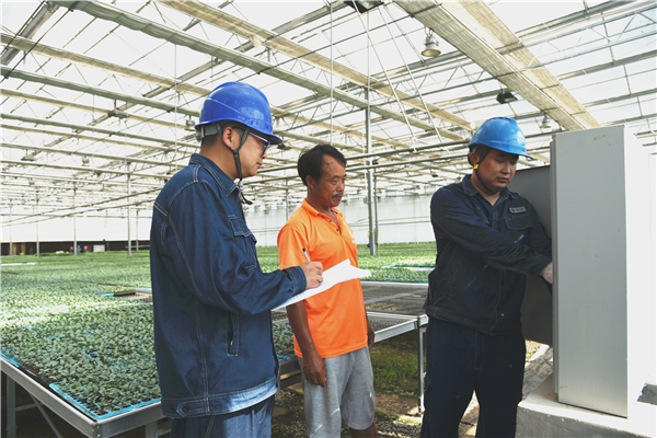 State Grid Xuchang Power Supply Company Empowers Specialty Agriculture with Quality Electricity_fororder_图片1