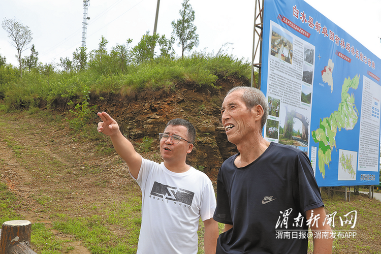 那座山 那片林 那群人——白水县新卓国有林场66年奋斗史