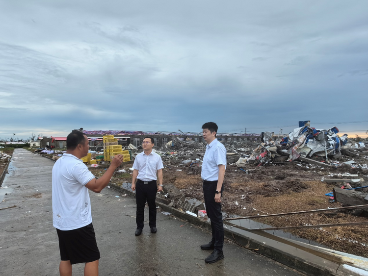 中信银行海口分行：全力支持海南灾后重建跑出“加速度”_fororder_图片2