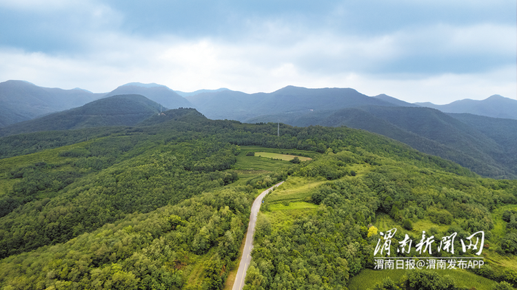 那座山 那片林 那群人——白水县新卓国有林场66年奋斗史