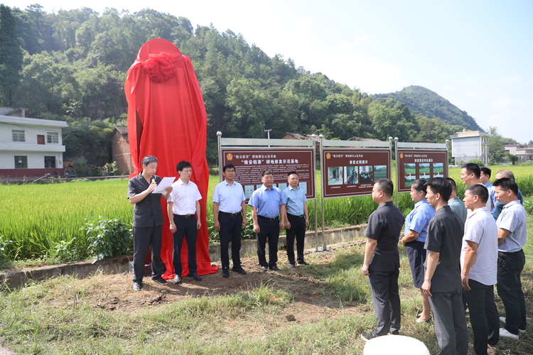 江西宜春袁州区人民法院：揭牌成立“粮安稻香”耕地修复示范基地_fororder_微信图片_20240816152323