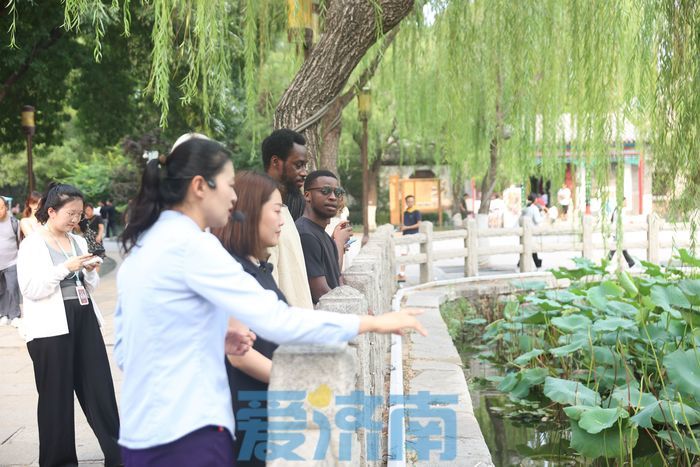 走读山东·感知济南 | 外籍友人打卡“济南泉水节” 赏泉游湖体验泉城文化盛宴