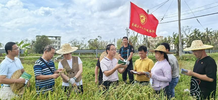 微光行动 点亮希望——中国体育彩票彰显公益力量助力海南灾后重建_fororder_66