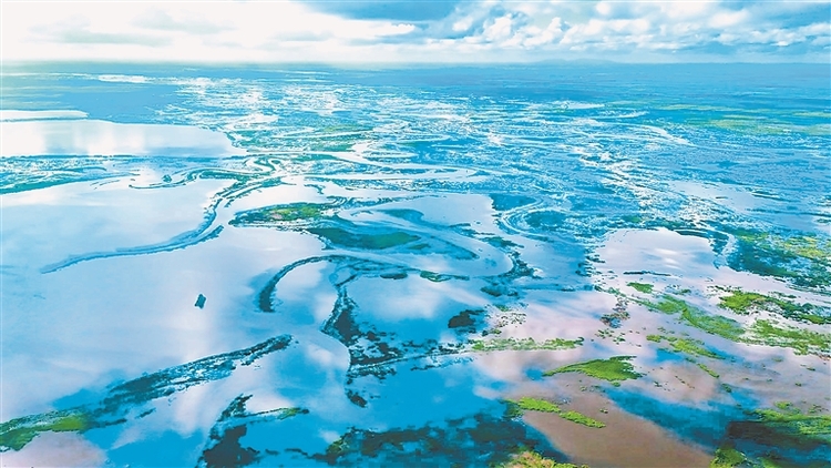 醉龙江│挠力河湿地生态之美