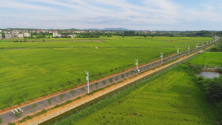 湖南衡阳县全力推进高标准农田建设  持续筑牢粮食安全根基_fororder_图片3