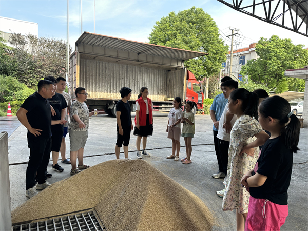 遇“稻”一粒米 南通如皋市白蒲镇松杨社区开展“七彩的夏日”主题活动_fororder_27