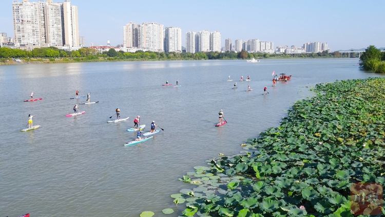 （转载）莲湖泛舟，遂宁环观音湖水上马拉松交流赛开赛