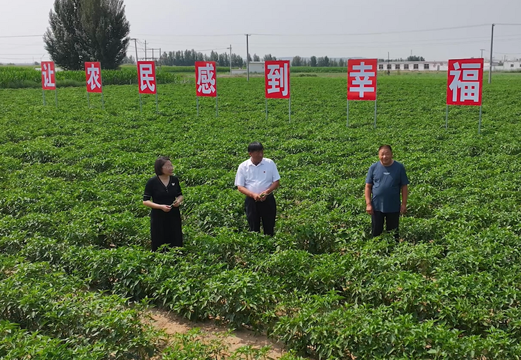 达拉特旗沙湾子嘎查：昔日“零元村”如何蝶变苏木“第一村”？_fororder_图片1