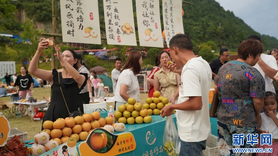 重庆巫山：小小秋月梨长成乡村振兴“金果果”