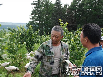 王树生扎根大山做生态