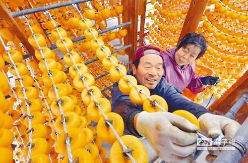 台当局拟解禁日本除福岛外4县市核灾食品 蓝营痛批