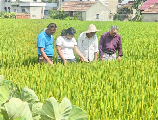 南通通州朱燕平：爱岗敬业践初心 用“铁脚板”跑出村民“好口碑”_fororder_图片5