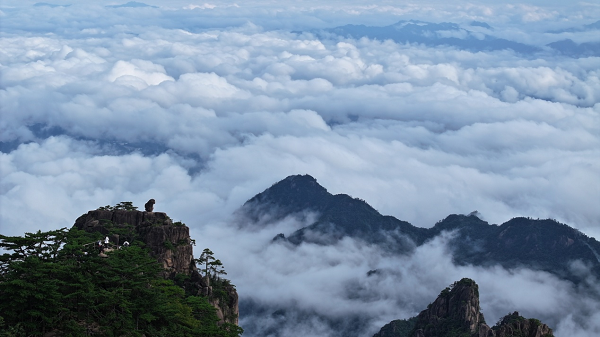 这个暑期 黄山旅游热辣滚烫_fororder_图片10