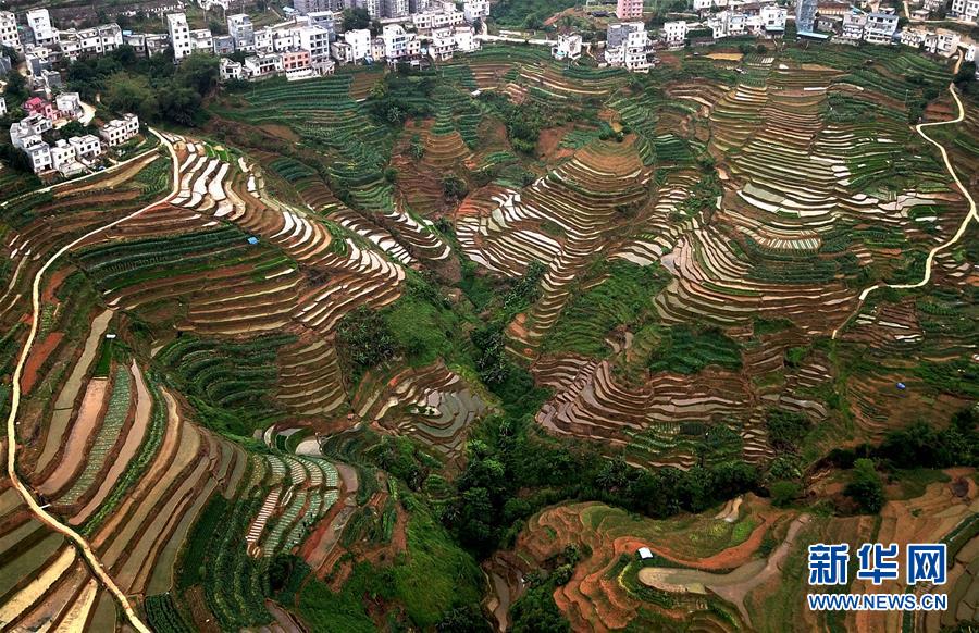 【焦点图】飞阅桂西山村旮旯田(组图)