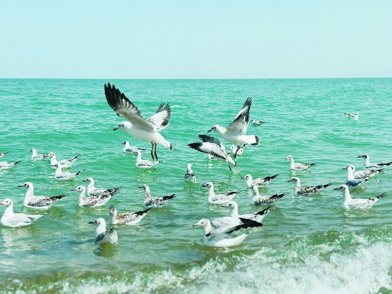 秋日青海湖碧波荡漾