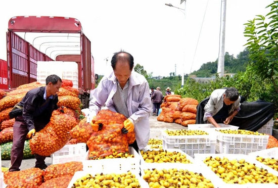 六盘水市水城区：刺梨精深加工企业忙碌生产 提高刺梨利用率_fororder_640 (1)