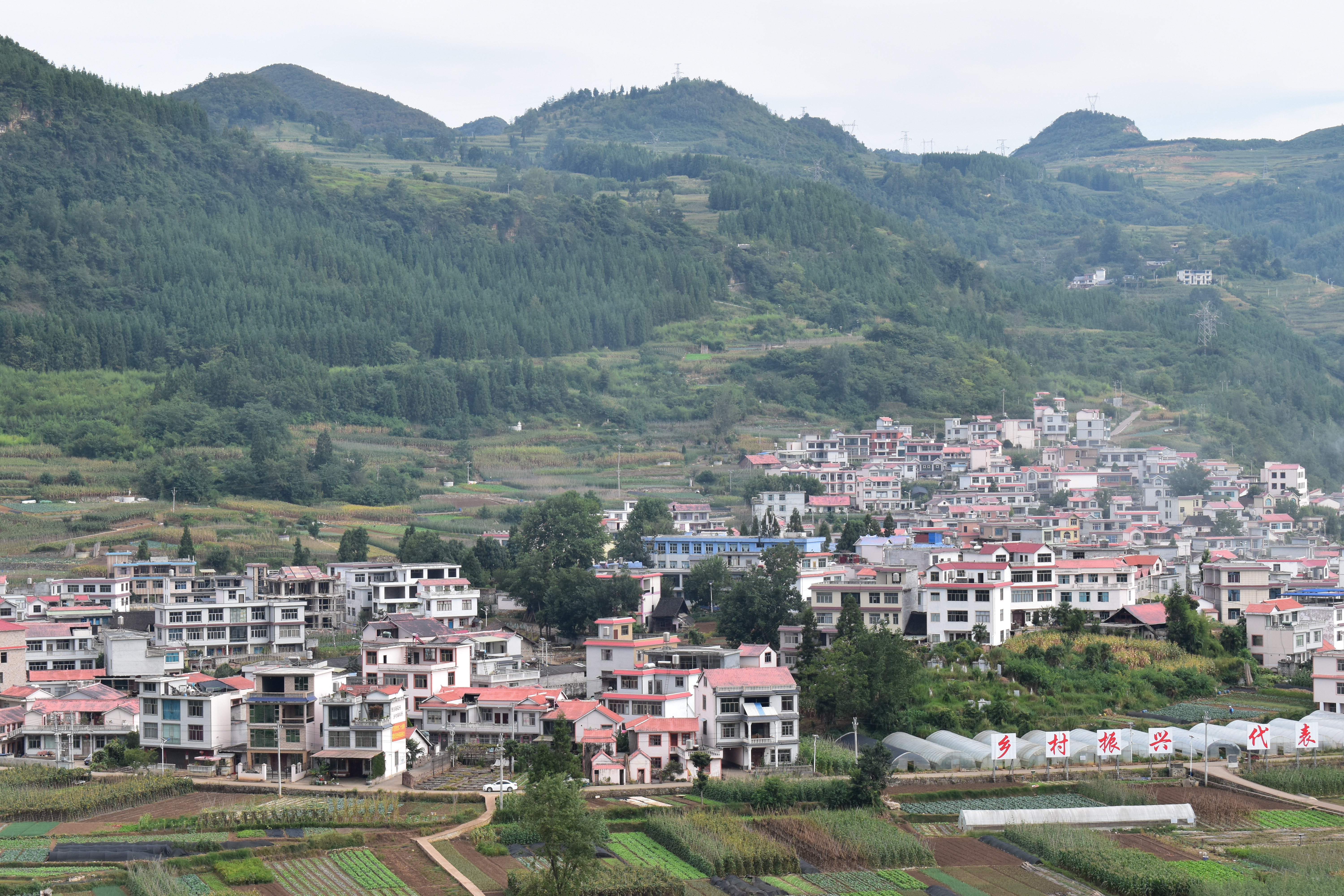 六盘水市钟山区：“以勒河”畔的“桥”