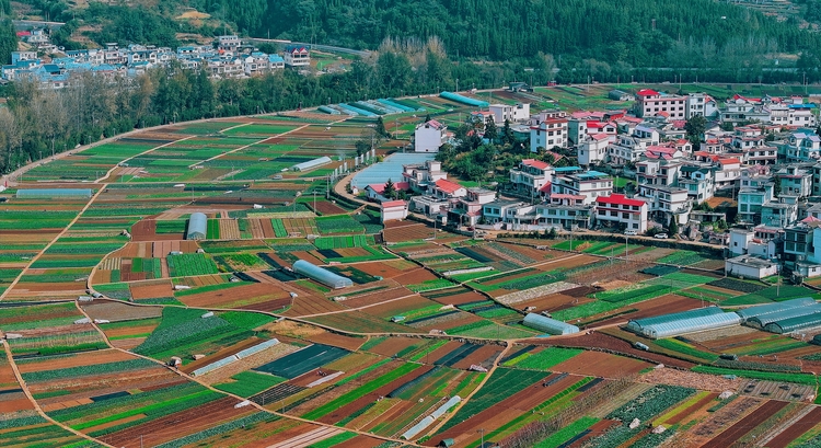 六盘水市钟山区：“以勒河”畔的“桥”