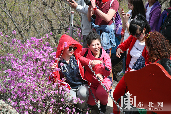 母亲节将近 送“旅游”成冰城年轻子女优选