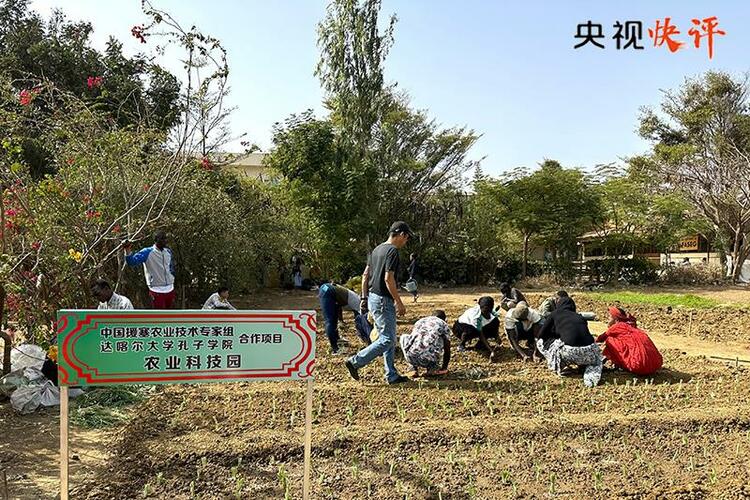 央视快评丨携手推进现代化 共筑命运共同体