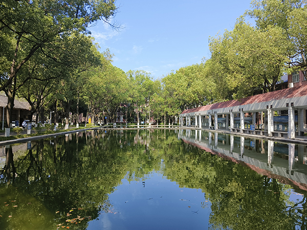 西华师范大学法学院：法律人才的摇篮_fororder_图片-1