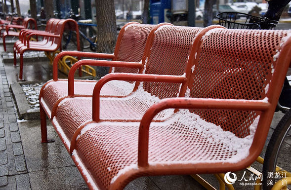 哈尔滨市迎来立冬后首场降雪