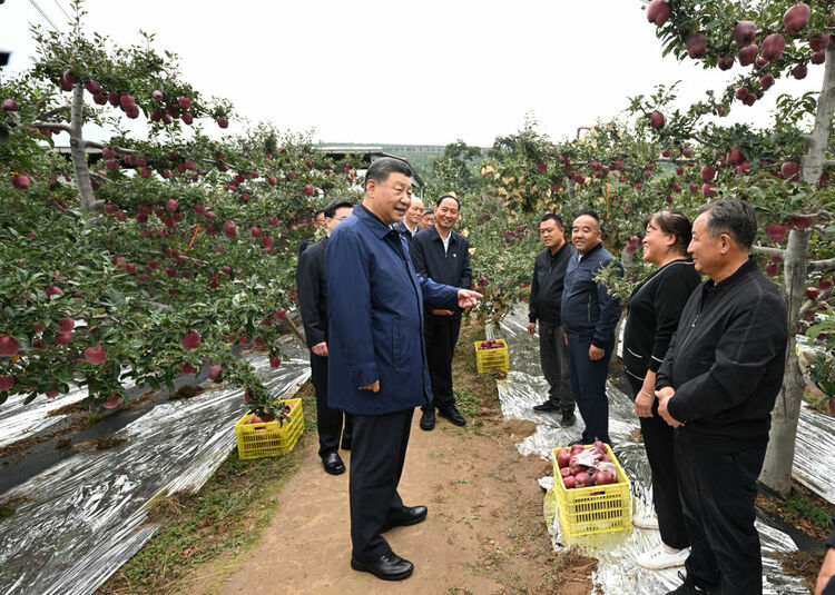 总书记甘陕行｜记者手记：践青山之诺，成大河之治