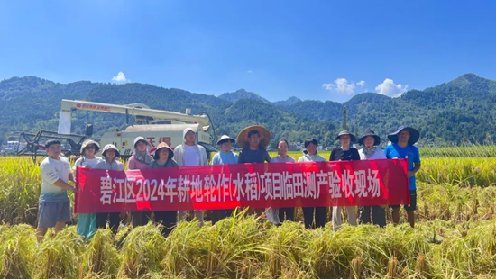 铜仁市碧江区：风吹稻田千重浪 又是一年好“丰”景_fororder_微信图片_20240919154905