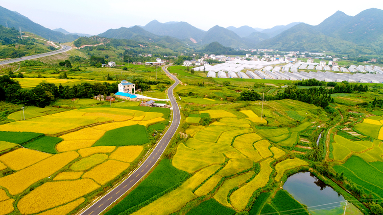 江西：十年一路生花 绘就大美赣南_fororder_安远县凤山至山下公路（村道）1-－郑敏摄影13970138829