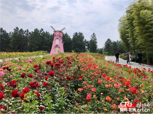 （供稿 旅游列表 三吴大地南京 移动版）2018第四届环山河·南京玫瑰节开幕