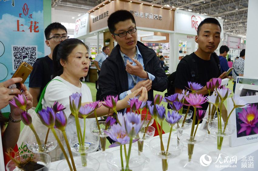 第二十届中国国际花卉园艺展览会在京开幕