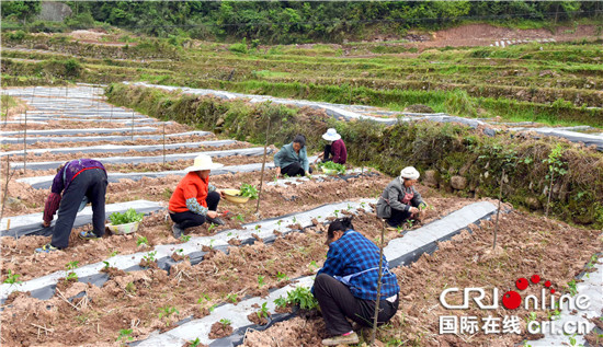 【区县联动】【石柱】石柱县：华溪村“三变”改革稳步推进