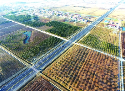 （头条）淮安金湖的路：千里通途“杉”水间