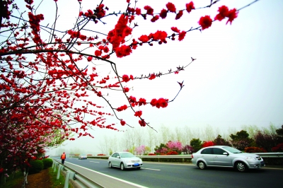 （头条）淮安金湖的路：千里通途“杉”水间