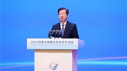 2024河南与跨国公司合作交流会举行